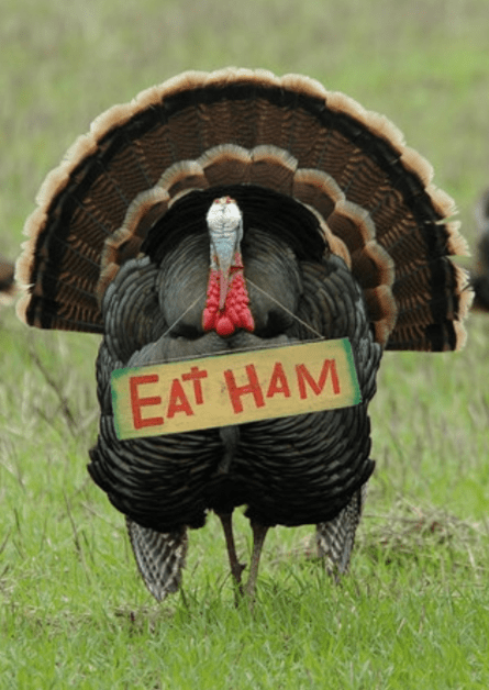 Turkey with Eat Ham Sign Turkey with Eat Ham Sign