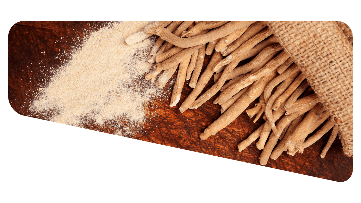 Ashwagandha Herb Bag