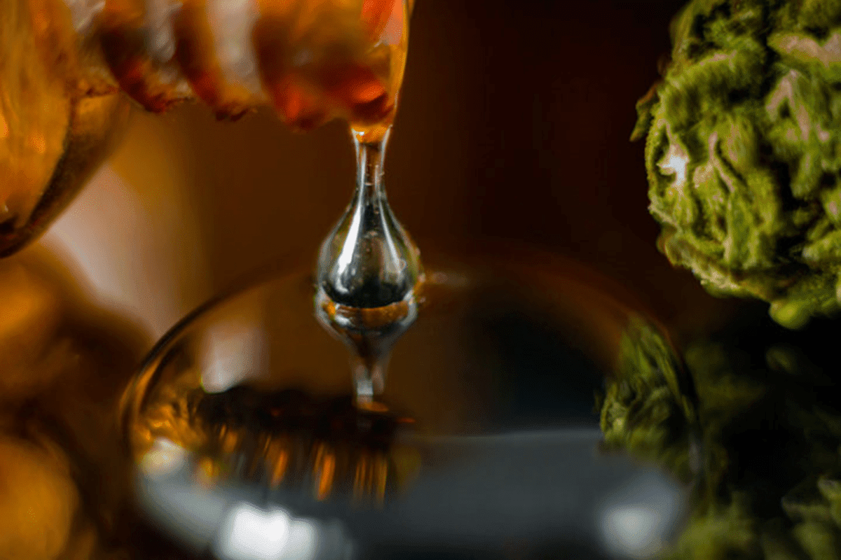 Live Rosin Dripping Onto the Table