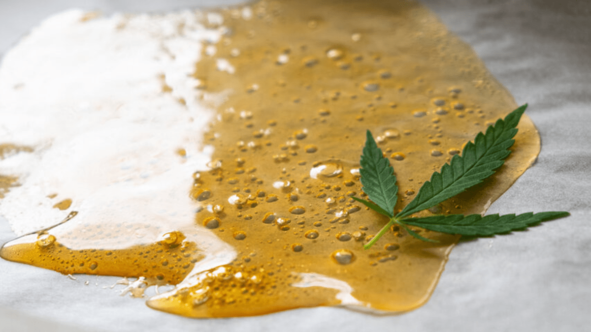 Live Rosin on Paper with Cannabis Leaf