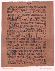 Ancient Egyptian Medical Text