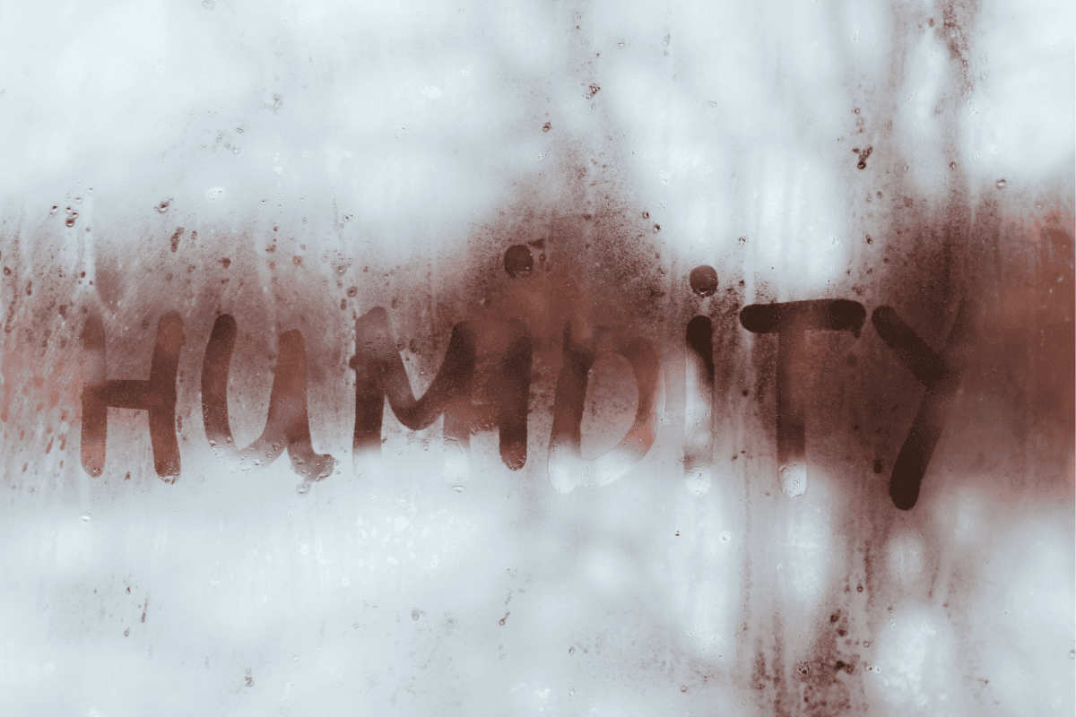 Humidity Written in a Foggy Window