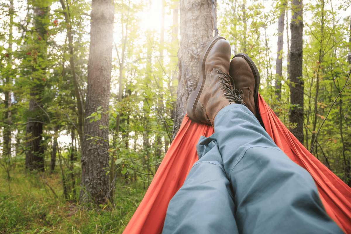 Hanging Out in the Woods in a Hammock