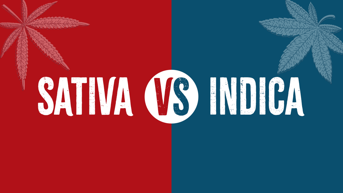 Indica Vs. Sativa Blog Banner