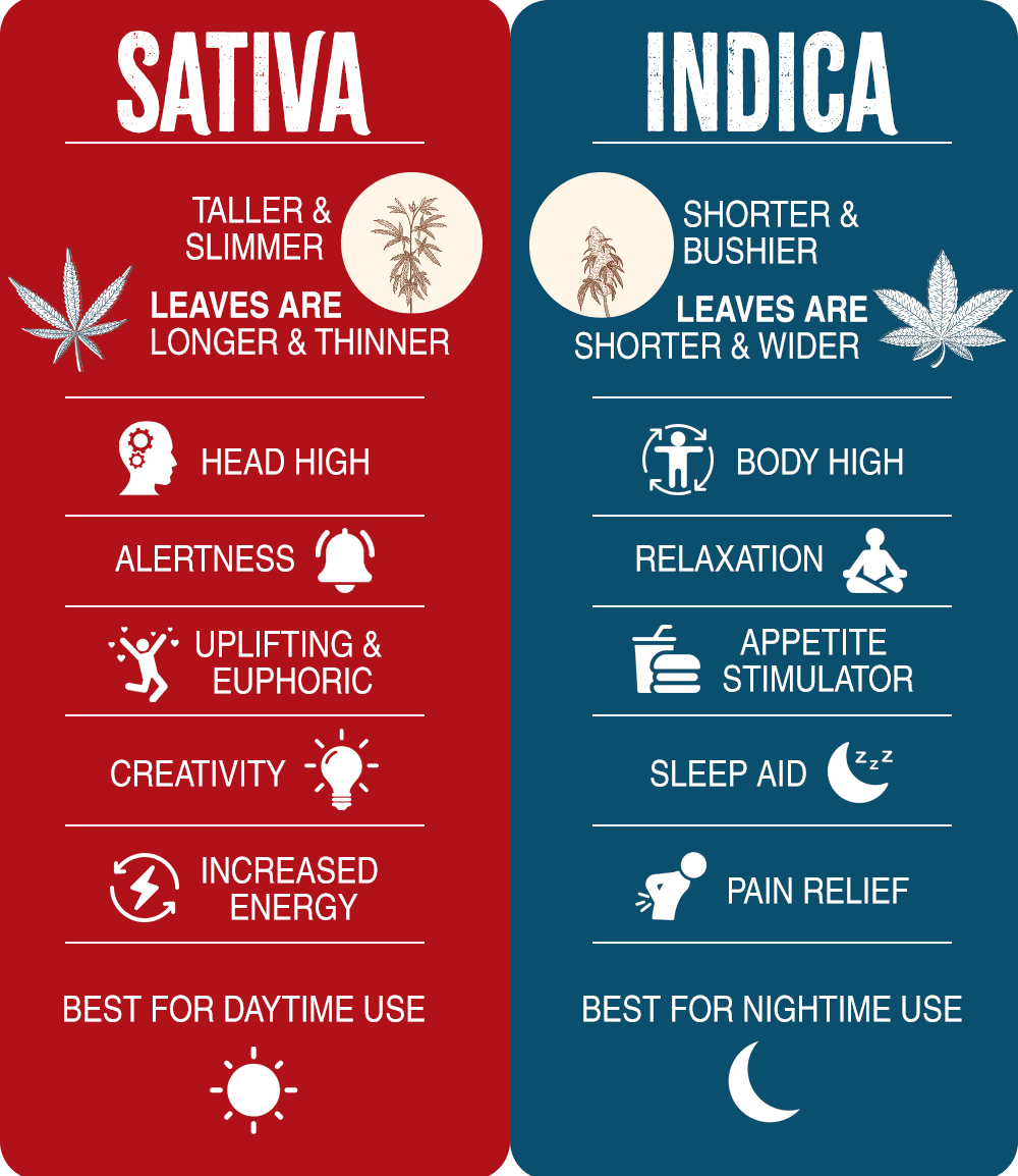 Indica vs. Sativa Feature Chart