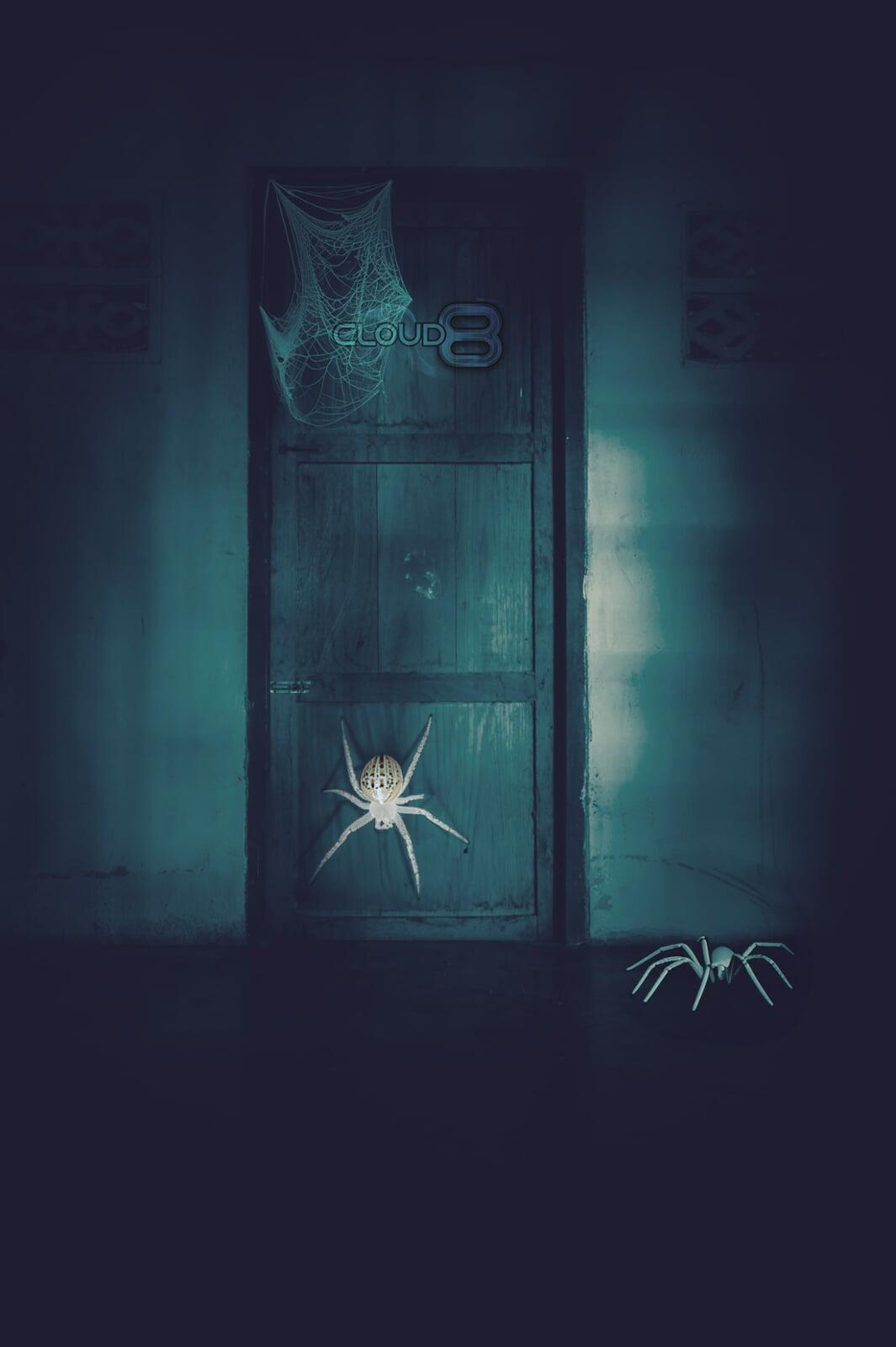 Door with Spiders Crawling On It