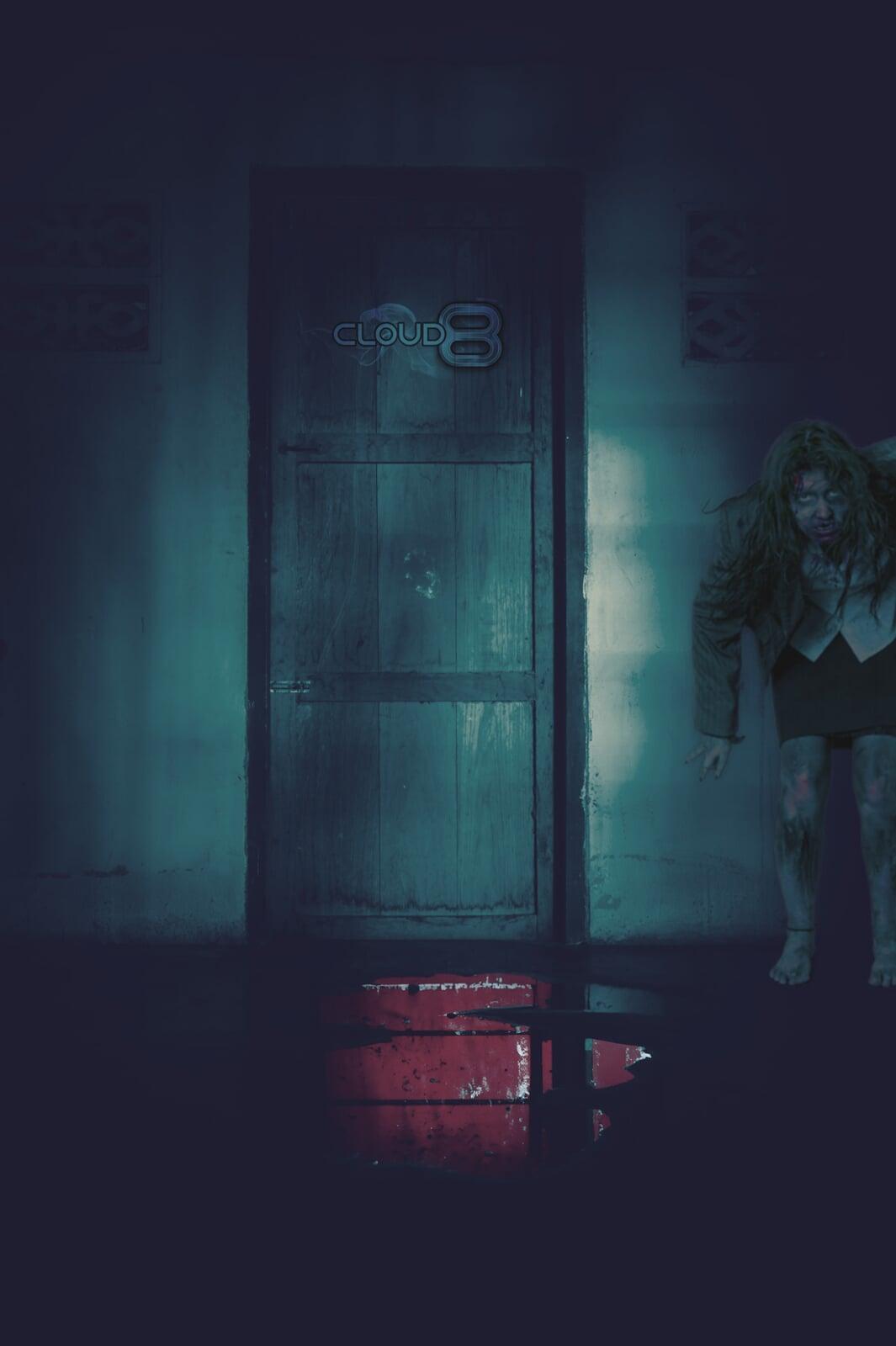 Door Guarded by a Zombie